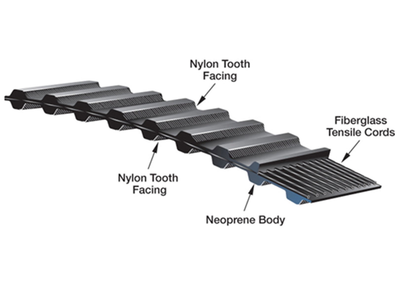 TP800H100 Gates Twin Power Belt - ppdistributors