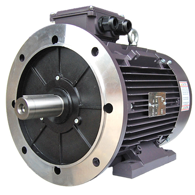 TechTop TEFC Metric GR3-CI-TF-225SB3-4-BR-D-50 Electric Motor