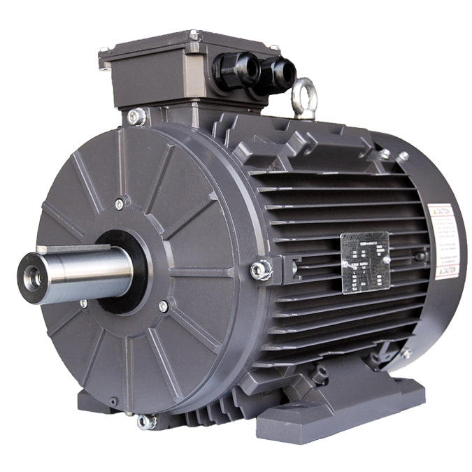 TechTop TEFC Metric GR3-CI-TF-280SB3-4-BR-D-100 Electric Motor