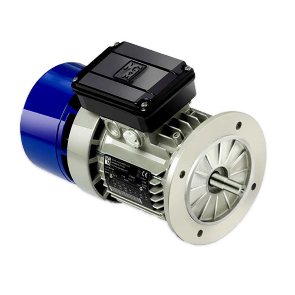 BAPV 71 B4 Electric Motor | P&P Distributors