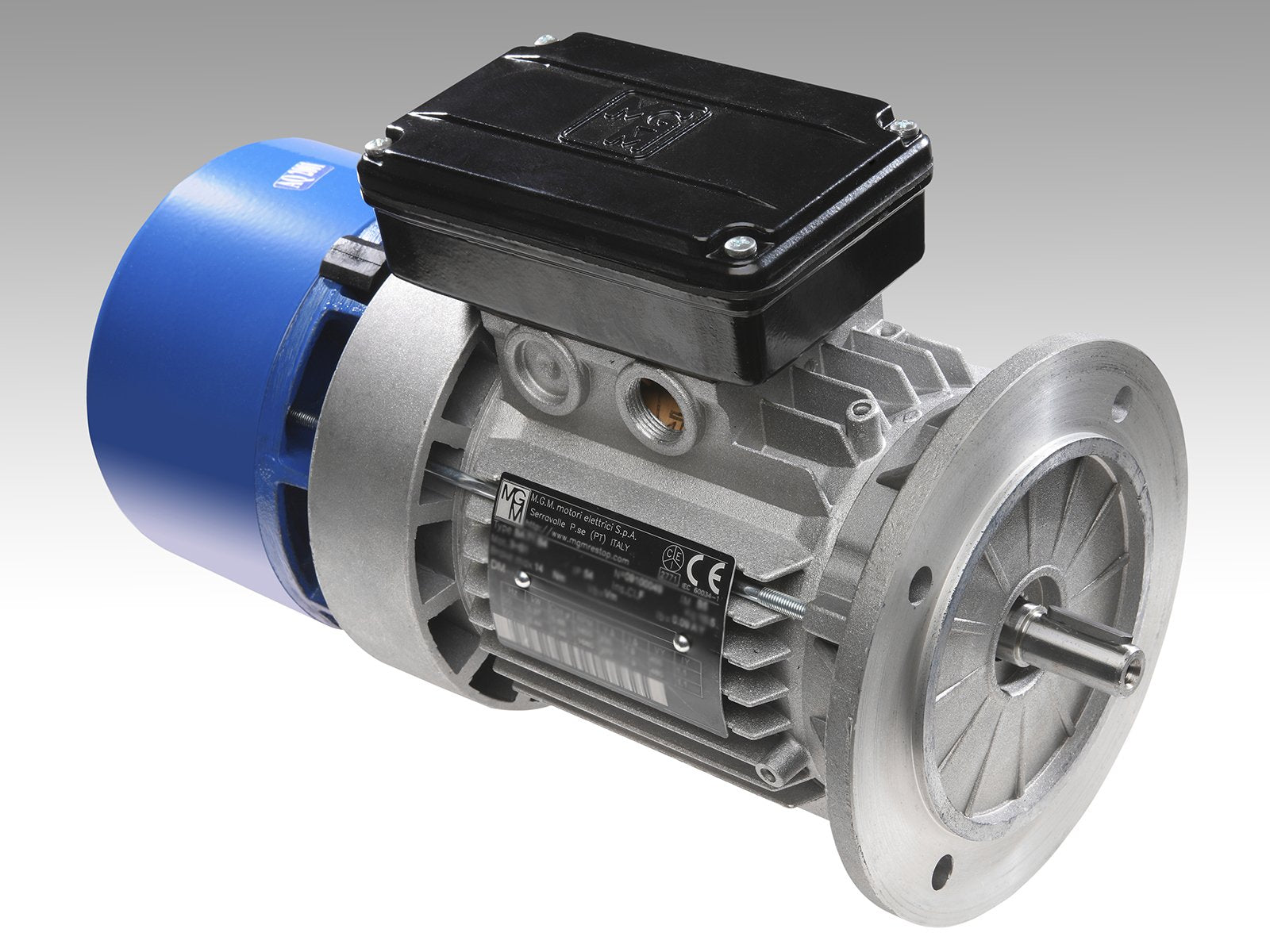 BA 71 A4 MGM Electric Motor - ppdistributors